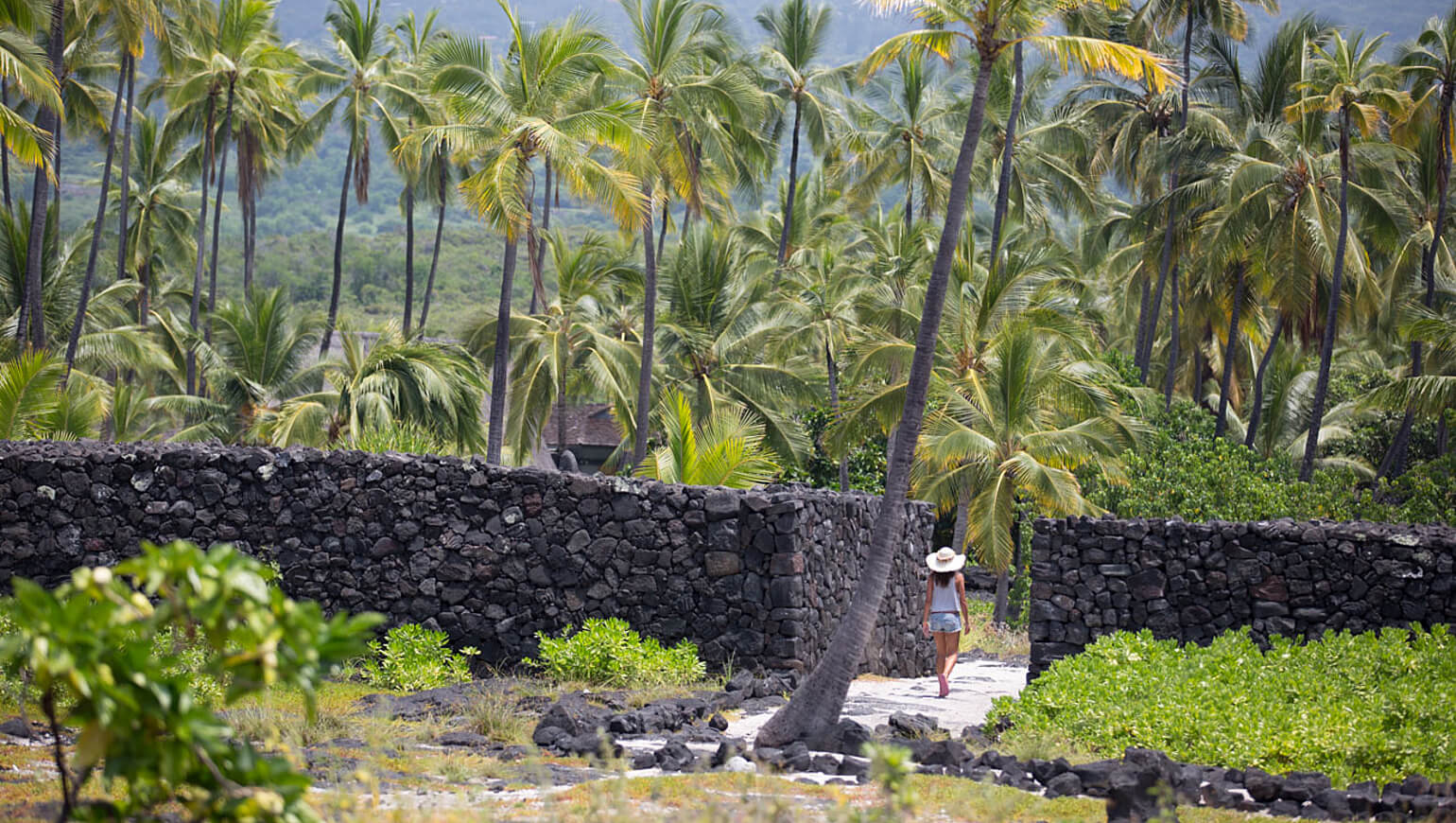 leclerc voyages hawaii